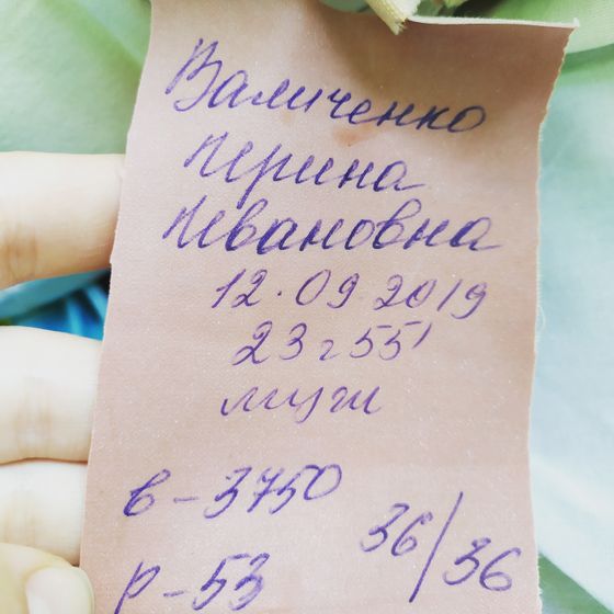 Родились наконец?