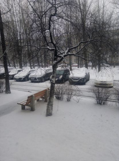 Ну, дождались...