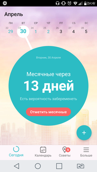 Грудь