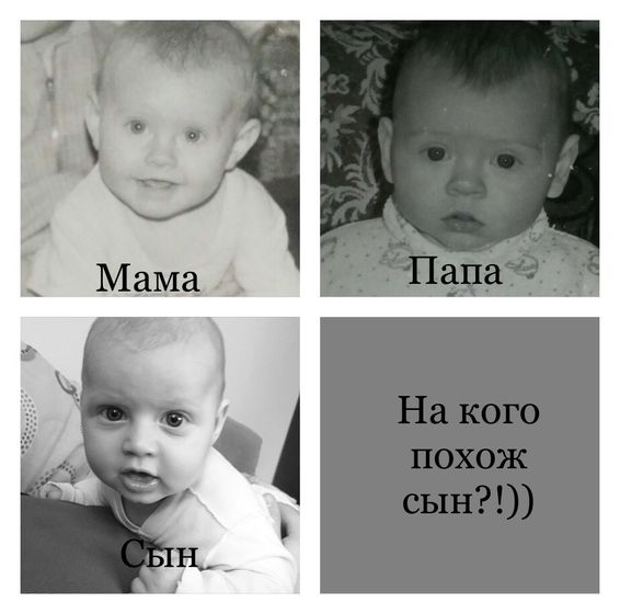 На кого похож сын?