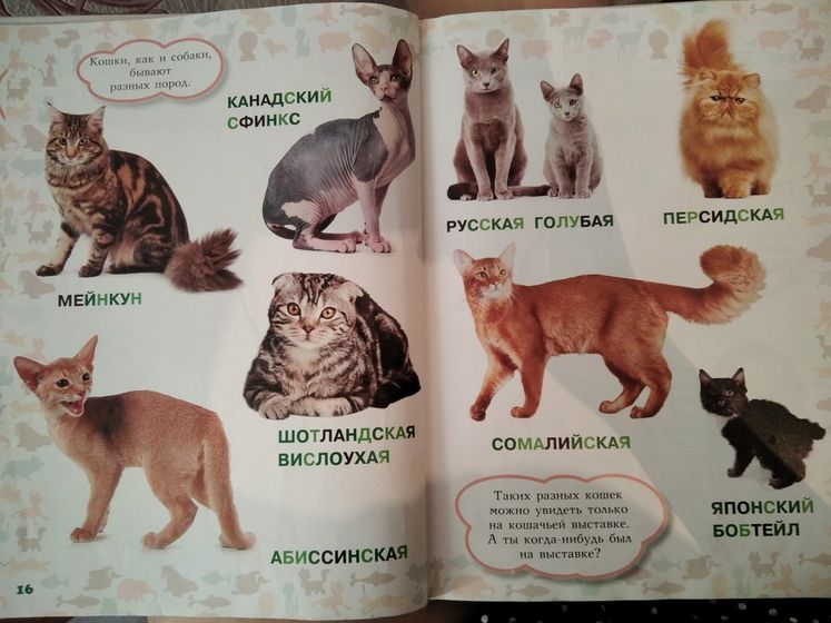 Тематическая неделька 