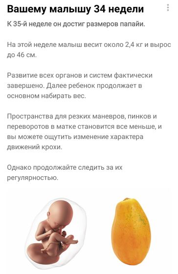 34/35 недель 🌟