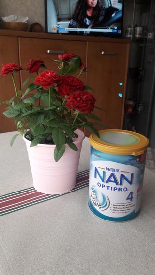 Отзыв NAN 4 OPTIPRO