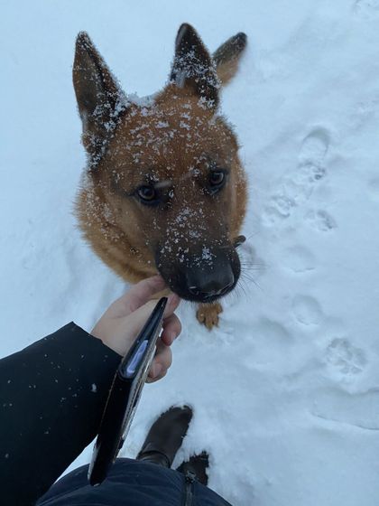 Поделюсь