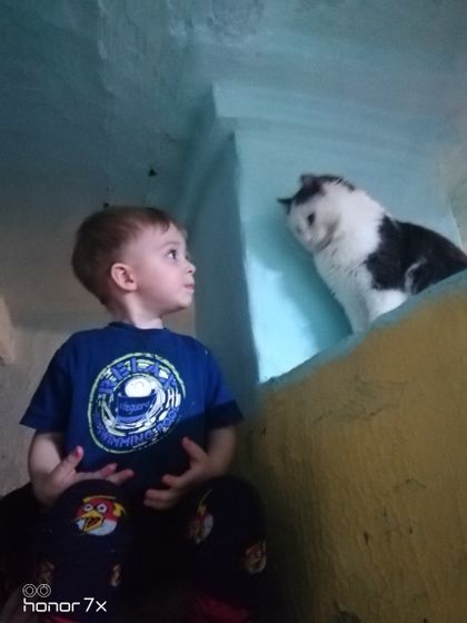 Когда стали давать сырую