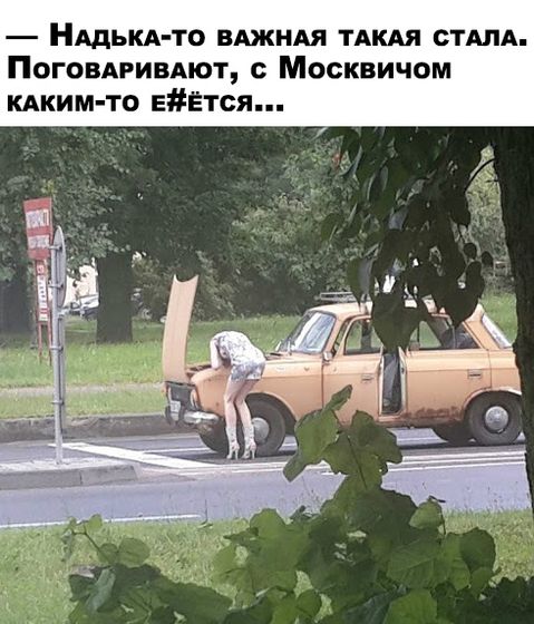 Муж с утра решил