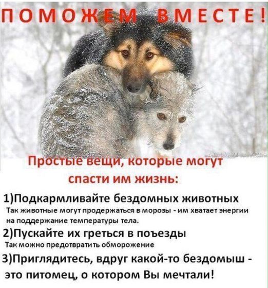Пост добра к братьям нашим меньшим ??