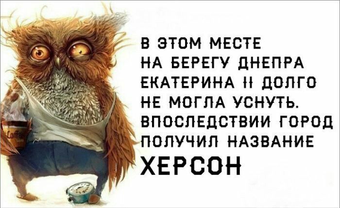 Сон?