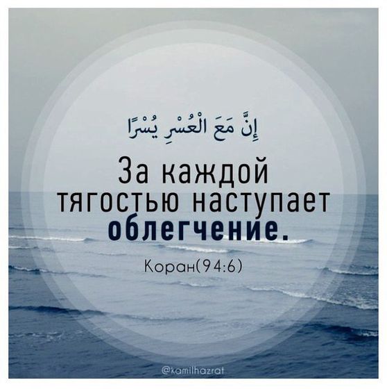 Начались шевелюшки?