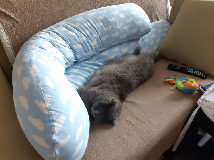 Какое это счастье 💞