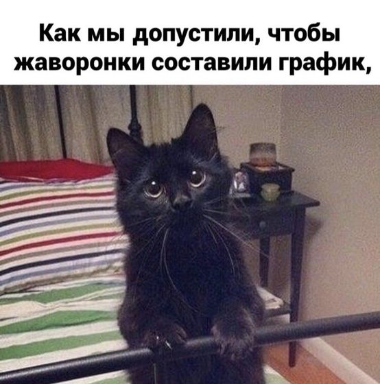 ?