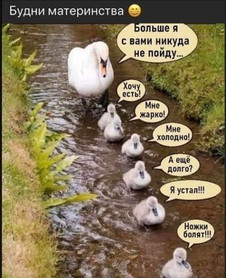 Будни материнства))))