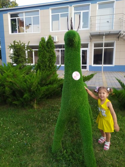 Узи 24 недели и наши новости