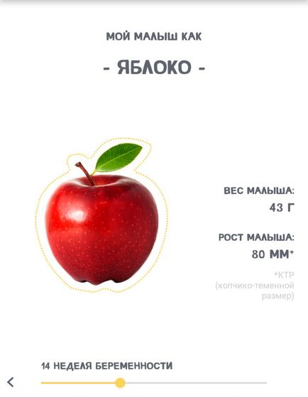 Фотография 2020-02-23 05:18:37