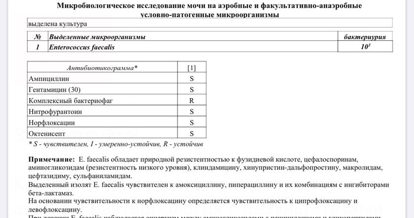 Помогите пожалуйста расшифровать