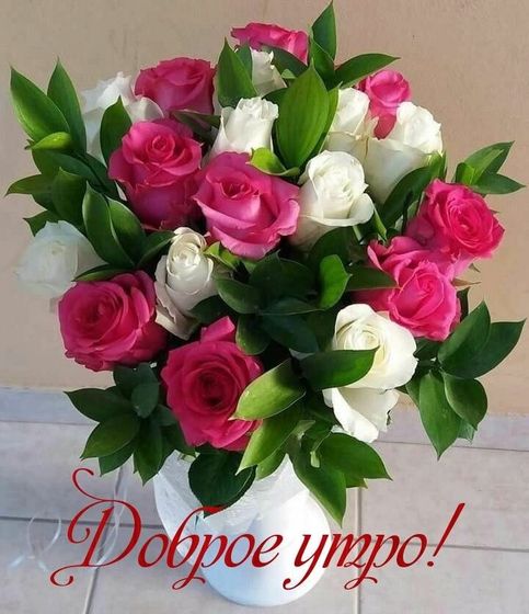 Про этот сайт Девочки,