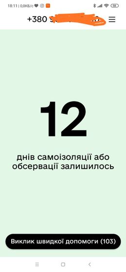 О самоизоляции по прилету в Украину с приложением Дій вдома