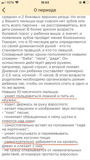 10 месяцев