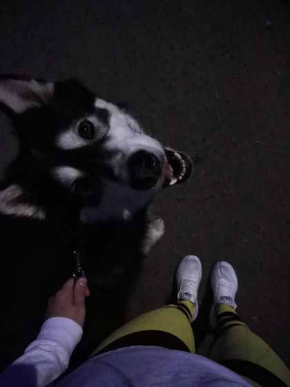 Покой нам только снится)