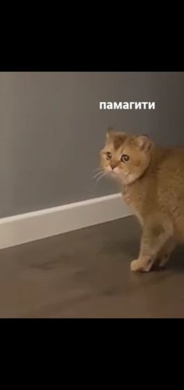 Спокойной ночи всем ?