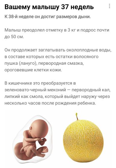 Режим ждуна активирован 🌟