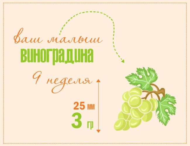 9️⃣ недель 💋💋.