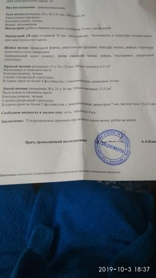 УЗИ на 10 ду