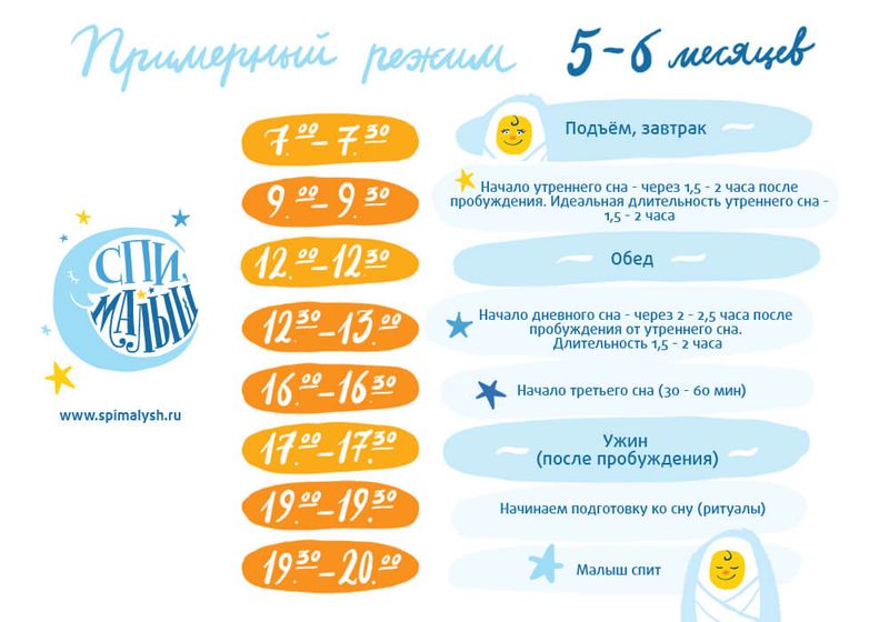 График питания ИВ с учетом прикорма