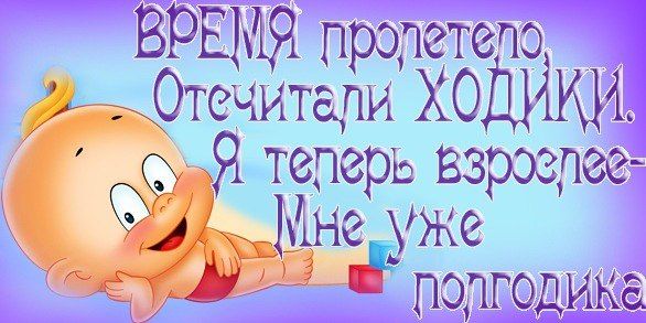На 6 месяцев!!!!