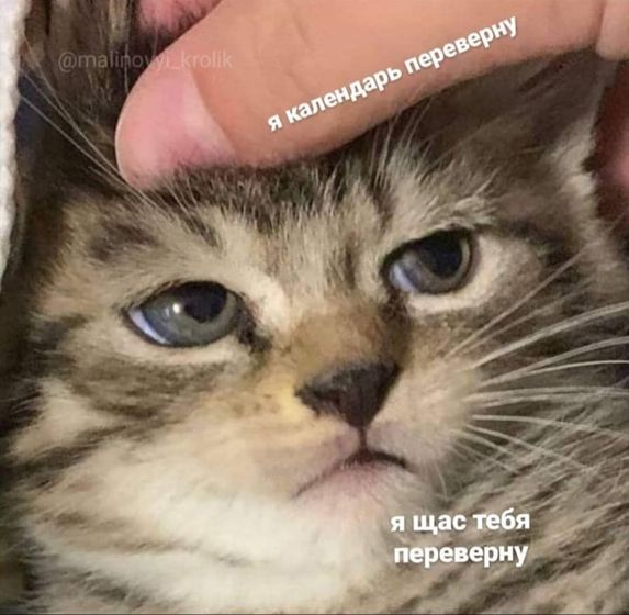 Коротко о насущном дне
