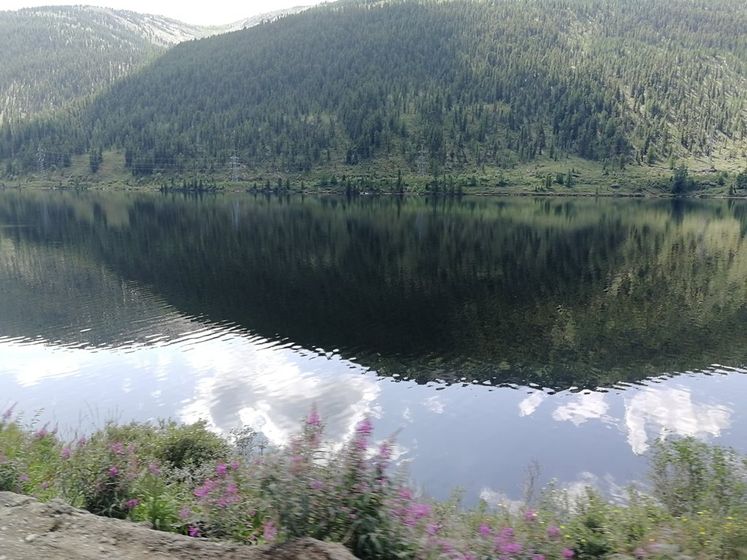 Алтай 2019