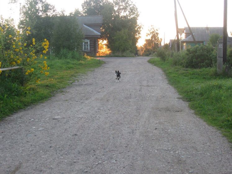 Ой,девочки...