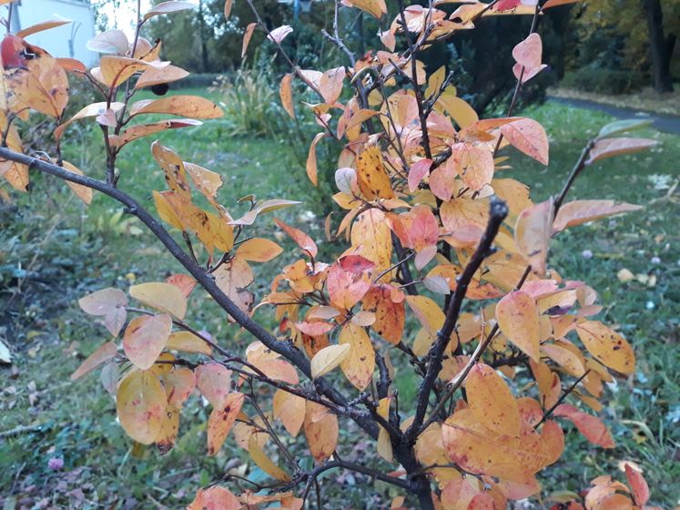 #Безработы. Начало..