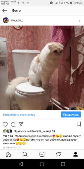 Отдам в добрые руки