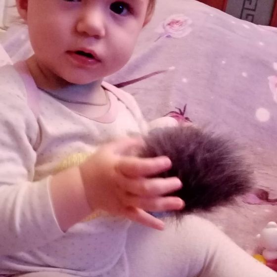 Одиннадцать месяцев, скоро уж