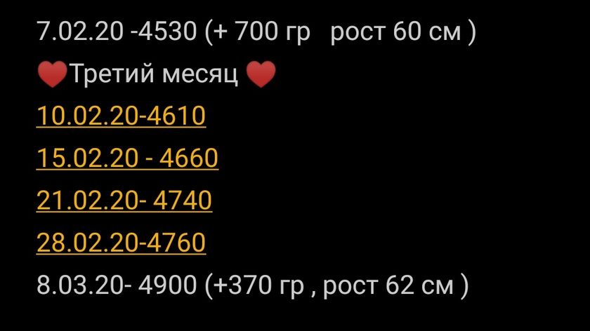 3 месяца Сегодня