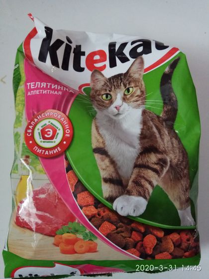 Как перевести кошку на сухой корм?