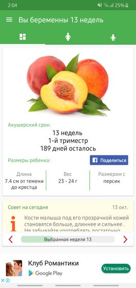 Моим персиками 13 недель??