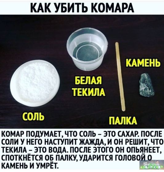 Фотография 2020-05-22 17:56:35