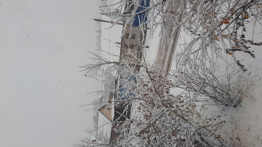 С первым снегом ❄?