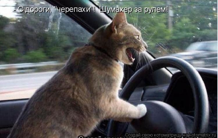 Хочу 100 тыс. к пенсии! Во что инвестировать?