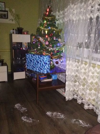 Новогодние праздники и подарки, 2020.