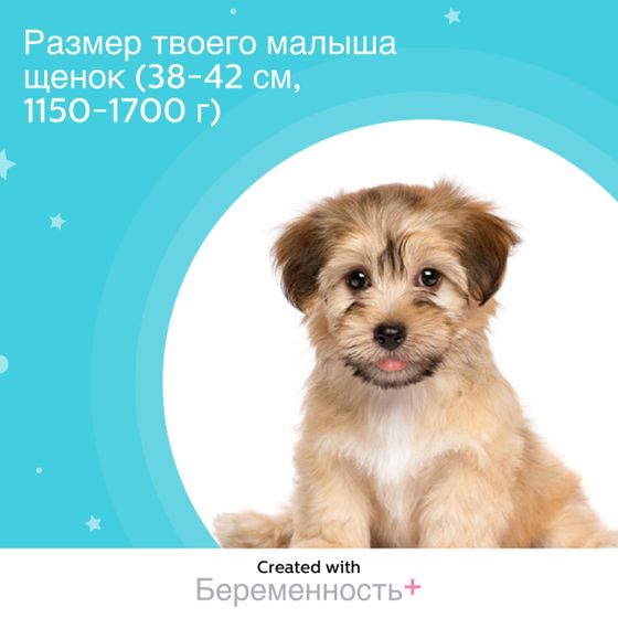 Ура! Нам сегодня 30 неделек?