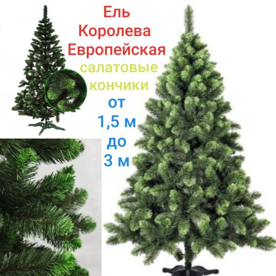 Елки/сосны Украина. БЕСПЛАТНАЯ доставка + ПОДАРОК