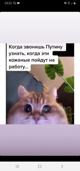 Я не могла это