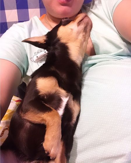Мы с Сёмушкой 😊🐶