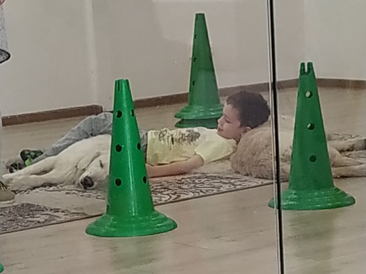 Канистерапия