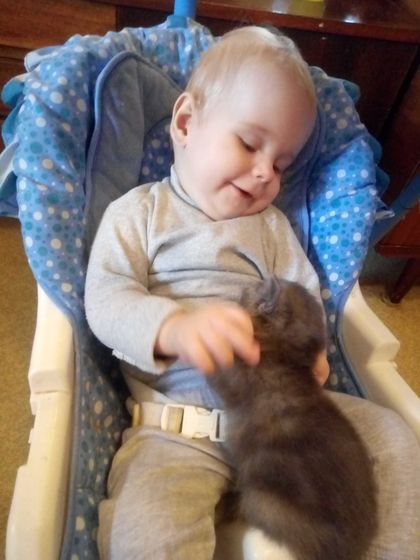 Завели сыну котика ?