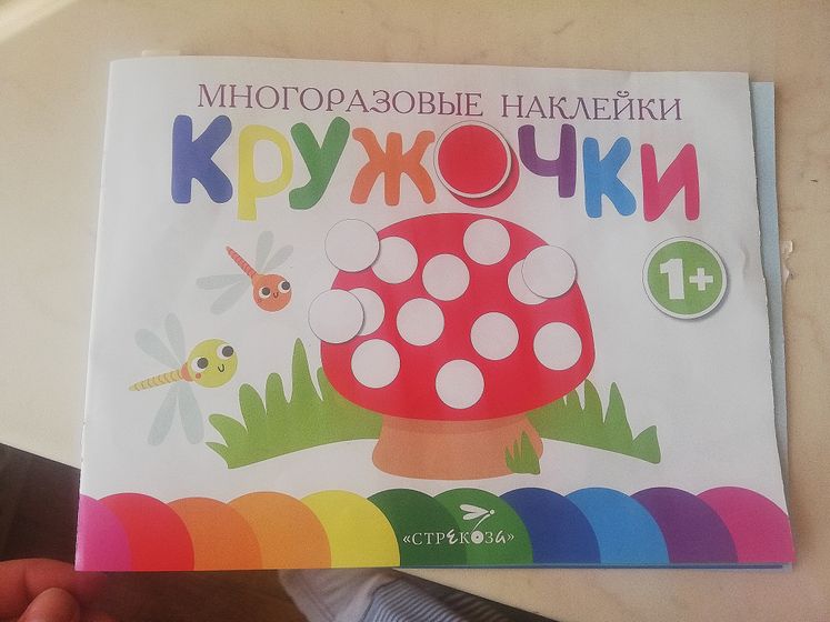 ЗПР. Что дальше?