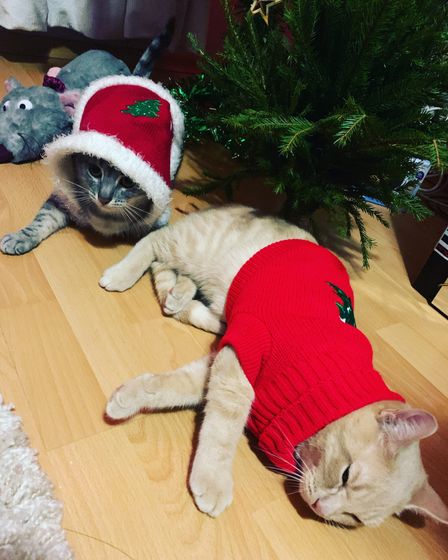 С Новым годом ❤️❤️❤️С новым счастьем !!!!